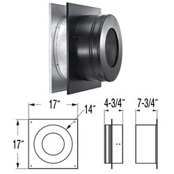 6DP-WT